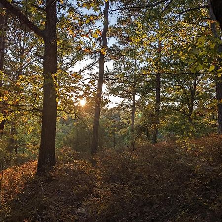 ユリーカ・スプリングス Loblolly Pines Adventure Aframe #2ヴィラ エクステリア 写真